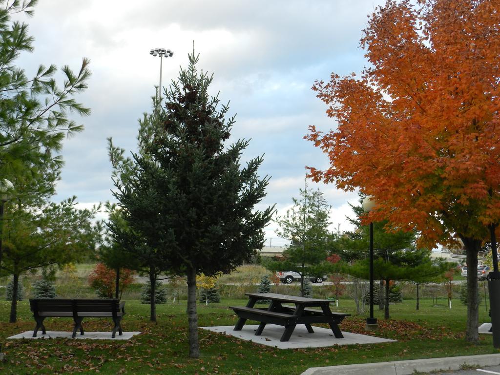 Capri Inn Saint Catharines Bagian luar foto