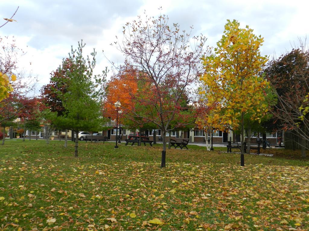Capri Inn Saint Catharines Bagian luar foto