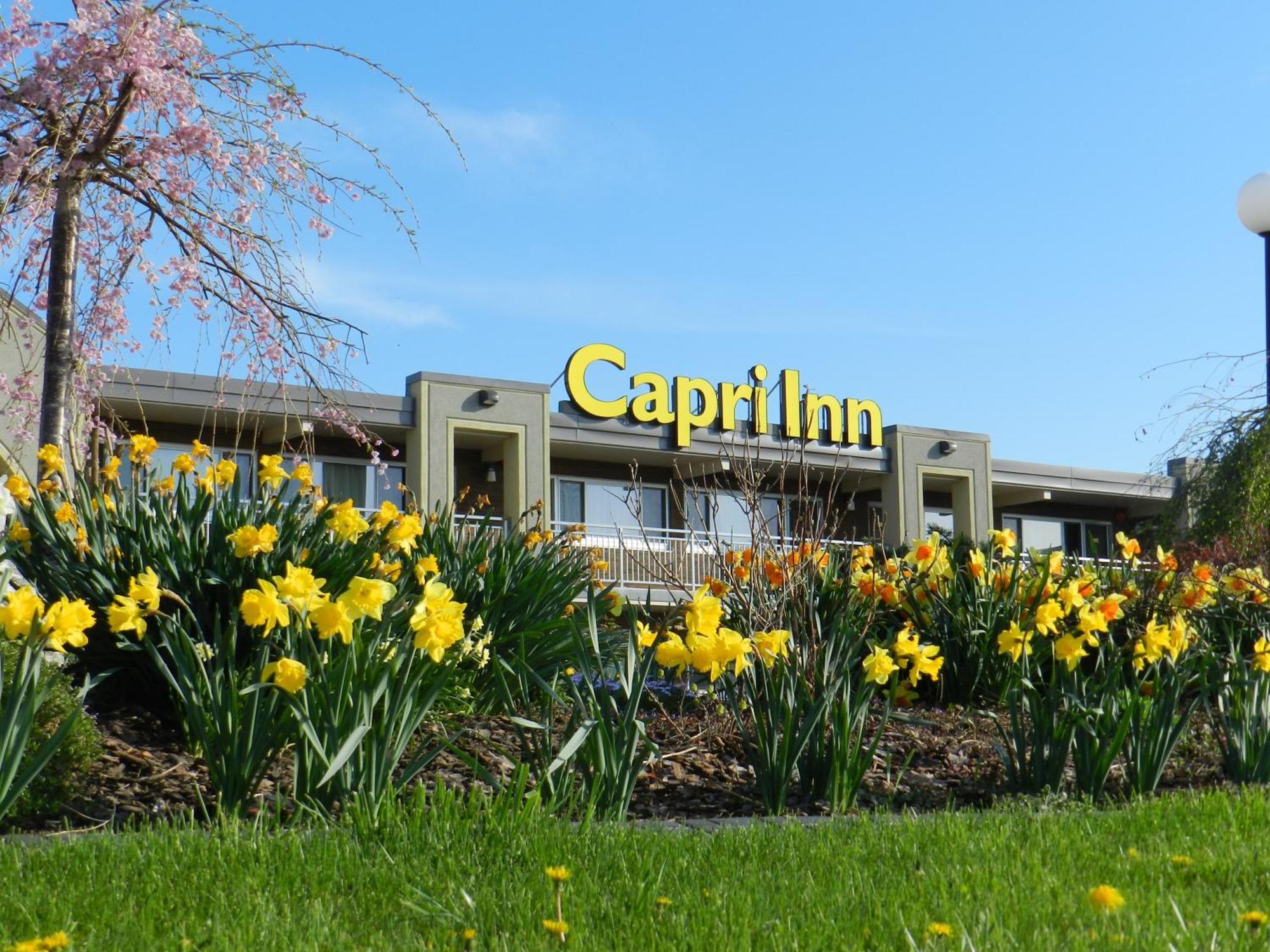Capri Inn Saint Catharines Bagian luar foto