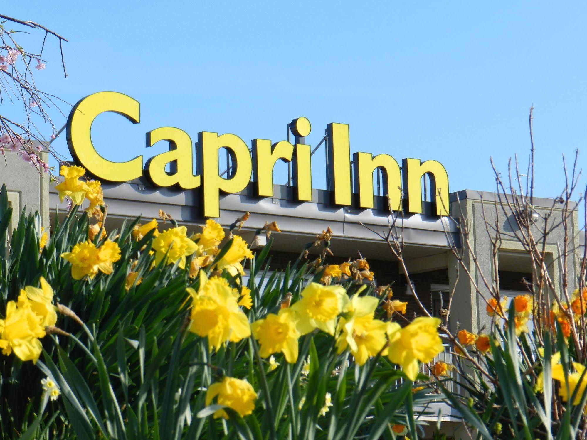 Capri Inn Saint Catharines Bagian luar foto