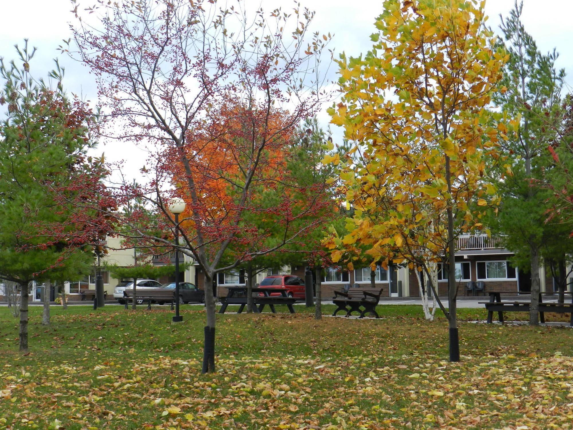 Capri Inn Saint Catharines Bagian luar foto