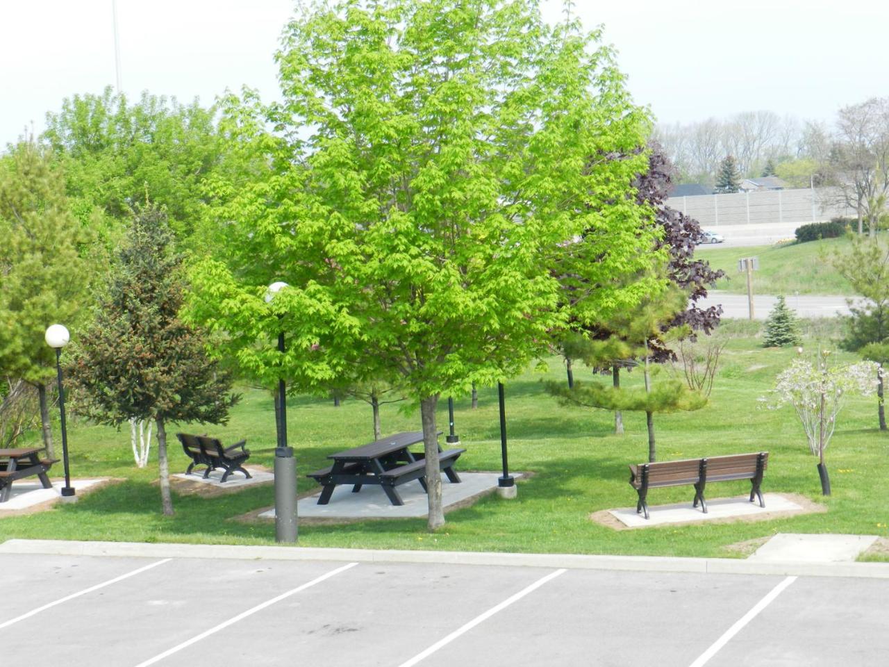 Capri Inn Saint Catharines Bagian luar foto