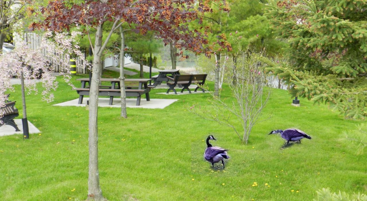 Capri Inn Saint Catharines Bagian luar foto